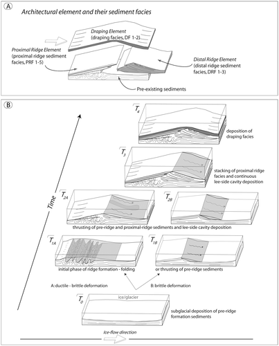 Figure 2. Niemisel-type ribbed moraine architecture [rearranged from Lindén et al. (Citation2008)]. A. The three identified architectural elements, repeated in varying dimensions in all studied sections. B. Sequential formation model for Niemisel-type ribbed moraine. Ridge formation is illustrated in five stages. Pre-ridge formation stage, T0 – A subglacial depositional system acting prior to individual ridge formation (unknown age) with accretion of both sorted sediments and massive and tectonically laminated diamicts and glaciotectonites. This pre-ridge formation stage gave rise to thick (metres to tens of metres scale), subhorizontally laminated sediment sequences, preferentially deposited in the valley areas. The initiation stage, T1 – The initiation of ridge formation is marked by a localised change from bed extension to bed compression. Previously deposited sediments were either folded (T1A) or thrust (T1B) along lineaments perpendicular to the ice flow and stress direction that caused a transverse thickening of the bed, a proto-ridge, from which the final landform developed. The proto-ridge formed an obstacle to glacier flow and a lee-side cavity (cf. Boulton Citation1982) parallel to the ridge developed. Ridge formation stages, T2 and T3 – Initial folding was followed by repetitive erosional events and thrust sheet (nappes) stacking of sediment (T2A) or by a continuous process of sediment thrust-fault stacking (T2B). With Proximal Element growth in the vertical and proximal direction, the lee-side cavity also grew in a vertical and distal direction. Distal cavity infilling in stages T2 and T3 was characterised by repetitive deposition of meltwater-transported sediments in a highly varying depositional system, including suspension settling of fine-grained sediment to high flow-velocity gravels of traction load, all interbedded with stratified and massive diamicts deposited from sediment gravity flows introduced into the lee-side cavity by the deforming bed conveyor belt. The draping stage, T4 – A late stage smoothing of the transverse ridge at which both proximal and distal ridge sediments were eroded, as demarcated by a major angular unconformity at the base of the Draping Element. The Draping facies diamicts were deposited with varying thicknesses from a deforming bed during brittle-ductile shear with highly developed clast orientation in deposited till and lodgement of ploughing boulders.