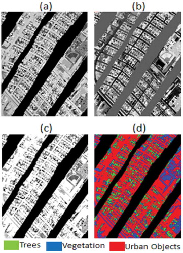 Figure 3. MSVI band (a), first MNF band (b), SVI band (c) and final classification map (d).