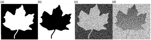 Figure 2. (a) and (b) are images with opposite intensity. (c) is (a) with Gaussian noise, and (d) is (b) with Gaussian noise and intensity inhomogeneity.