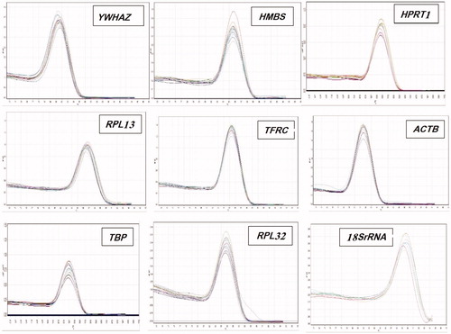 Figure 1. Specificity of real-time PCR amplification. Melting curves (dissociation curves) of the 9 reference gene amplicons after the real-time PCR reactions, all showing one peak. X-axis (horizontal): temperature (°C); Y-axis (vertical): negative derivative of fluorescence over temperature (-dF/dT).