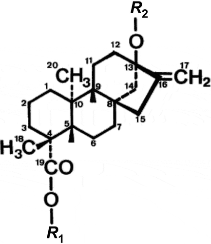 Figura 2. Chemical Structure of the aglycone of stevioside.Estructura química de la aglicona de esteviósidos.