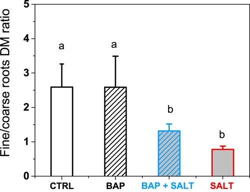 Figure 2. Fine/coarse root ratios in vines exposed to salt [SALT], vines primed with the synthetic cytokinin BAP then exposed to salt [BAP + SALT], in un-primed vines [CTRL] and vines primed with BAP [BAP] measured on the last day of exposure to salt (i.e. day 11 after priming was imposed). Data are the means (±SE) of 15 intersections of roots sampled from five pots per treatment. Different letters indicate statistically significant differences (p < 0.05).