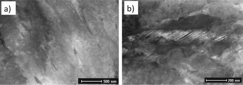 Figure 6. Microstructures following slow-cooling (120 Ch−1); (a) lath martensite matrix, (b) twin martensite.