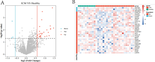 Figure 2 (A) The volcano diagram depicts genes with varying expression. X-axis: log2FC, Y-axis: log10 (FDR). Down-regulated genes are shown by blue dots; down-regulated genes are represented by blue dots. (B) The heat map exhibited differentially expressed genes. The samples are on the X-axis. Y-axis: various genes.