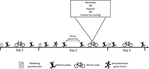 Figure 1. Timeline of experimental trials each conducted over 3 days.