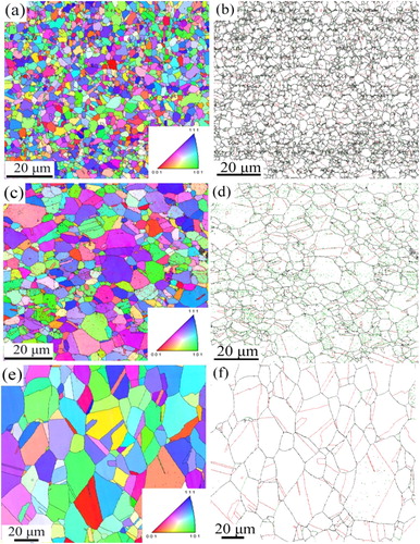 Figure 2. EBSD results of IPF and grain boundary images of the samples after annealing in the range 600–800°C for 1 h. (a) IPF and (b) grain boundary images after annealing at 600°C; (c) IPF and (d) grain boundary images after annealing at 700°C; (e) IPF and (f) grain boundary images after annealing at 800°C. Black lines represent the grain boundaries, and red lines represent the annealed twin boundaries in the grain boundary images.