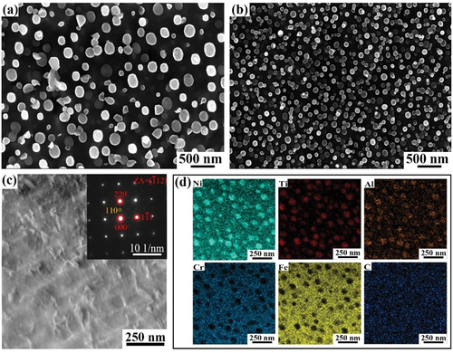 Figure 6. SEM images showing the morphology of γ′ precipitates under the creep condition of (a) 750°C/130 MPa and (b) 700°C/200 MPa. (c) TEM bright-field image and corresponding (d) EDS elemental analysis results of the experimental alloy under the creep condition of 700°C/200 MPa.