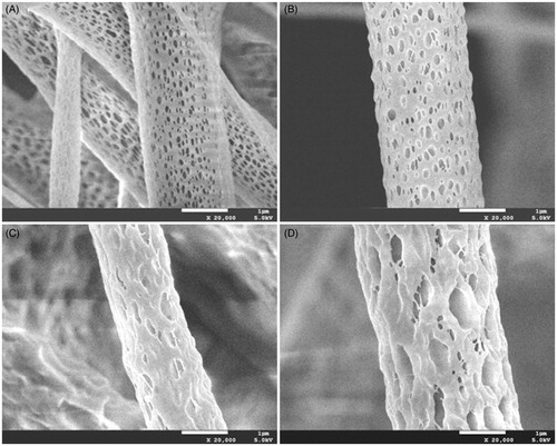 Figure 1. SEM photographs of docetaxel (DTX)/PDLLA nanofibers containing (A) 0 wt%, (B) 5 wt% DTX/PDLLA, (C) 10 wt% DTX/PDLLA and (D) 20 wt% DTX/PDLLA (100 × and 5000×).