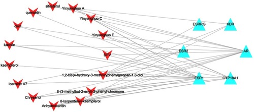 Figure 3 Compound–common target of epimedium and POI network. Red arrows represent active ingredients in epimedium. Blue triangles represent common targets of epimedium and POI. Edges represent interaction between ingredients and common targets.
