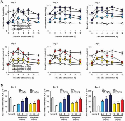 Figure 2. Analgesic effect of mirogabalin in streptozotocin-induced diabetic rats