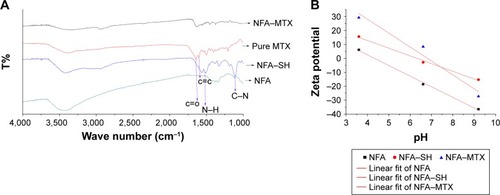 Figure 3 Conjugation of MTX onto NFAs.Notes: (A) FTIR spectrum showing the presence of different functional groups in NFA–SH, pure NFA, and MTX-conjugated NFA. (B) Zeta potential measurement of NFA, NFA–SH, and NFA–MTX demonstrating successful conjugation of MTX onto NFA.Abbreviations: MTX, methotrexate; NFA, Fe–Au alloy nanoparticles; FTIR, Fourier-transform infrared spectroscopy.