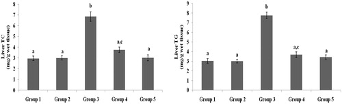 Figure 5. Effect of galangin on abnormal changes in liver total cholesterol and triglyceride levels in rats with STZ-induced hyperglycaemia. Data are presented as mean of six rats per group ± S.E. Groups 1 and 2 are not significantly different from each other (a, a; p < 0.05). Groups 4 and 5 are significantly different from Group 3 (b vs. ac, a; p < 0.05). Group 1: healthy control rats; Group 2: healthy control +8 mg galangin; Group 3: diabetic control; Group 4: diabetic +8 mg galangin; Group 5: diabetic +600 µg glibenclamide.