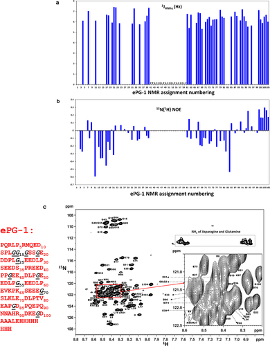 Figure 2. Solution conformation of ePG-1 characterized by NMR using backbone 3JHN,HA coupling constants, 15N{Citation1H} heteronuclear NOE measurements and detailed resonance assignments. (a) essentially uniform 3JHN,HA coupling constants (of 6–7 Hz) indicate largely random coil conformations for the ePG-1 backbone. (b) Small 15N{Citation1H} heteronuclear NOE values with excursions to negative values are also characteristic of unfolded polypeptide chains for ePG-1. NMR data for the central region of ePG-1 could not be analyzed due to overlaps of the 1H/Citation15N-HSQC signals of the highly repetitive sequence PPGEEDLPGEEDLPGEEDLP. The companion 15N longitudinal (T1) and transverse (T2) relaxation data are shown in SupplFig. S3B and SupplFig. S3C, respectively. (c) assigned HSQC spectrum of ePG-1. The amino acid sequence of ePG-1 (Table 1) is reproduced here with Pro (P37 of the hCA-IX sequence) as the first residue for the NMR assignment numbering. The italicized black font indicates the locations of the 11 Gly residues in the sequence of ePG-1. The inset details some signal assignments of the heavily overlapping region in the HSQC spectrum. A rectangular box outlines the side-chain amide HSQC signals of Asn and Gln residues. Two Gln residues, Q2 and Q8, and two Asn residues, N91 and N92 are located at the N-terminal and C-terminal regions of ePG-1, respectively.