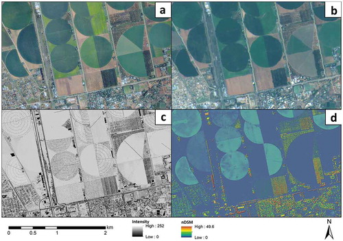 Figure 2. Raw aerial imagery (a), Sentinel-2 (b), LiDAR intensity (c) and LiDAR nDSM (d)