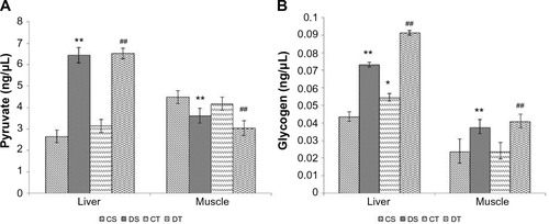 Figure 4 Effect of EDHB supplementation on pyruvate (A) and glycogen (B) in rat liver and muscle.