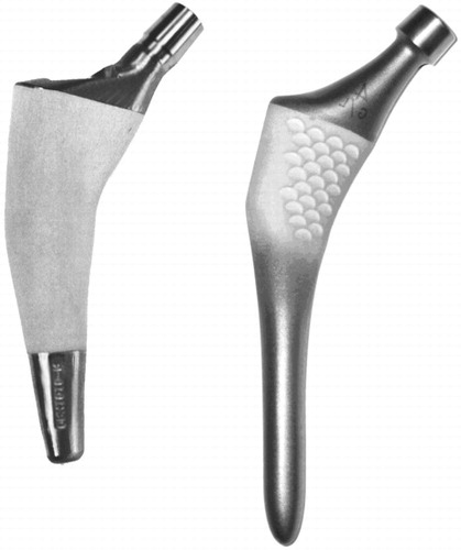 Figure 2. The implants. The Unique stem (left) and the ABG-I (right).