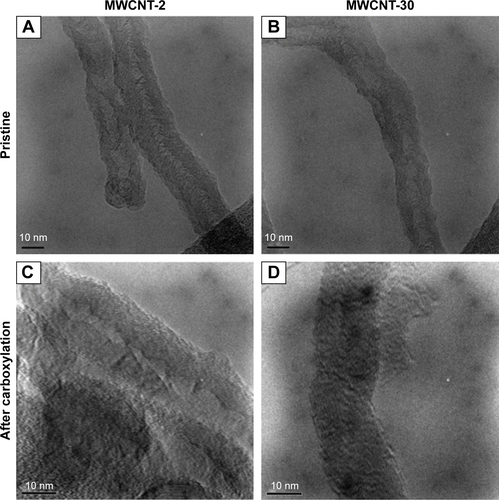 Figure S1 TEM images of MWCNTs before and after carboxylation.Notes: (A) Pristine MWCNT-2, (B) pristine MWCNT-30, (C) carboxylated MWCNT-2, and (D) carboxylated MWCNT-30. After carboxylation, both MWCNT-2 and MWCNT-30 collapsed and became more rugged.Abbreviations: MWCNT, multiwalled carbon nanotube; TEM, transmission electron microscopy.