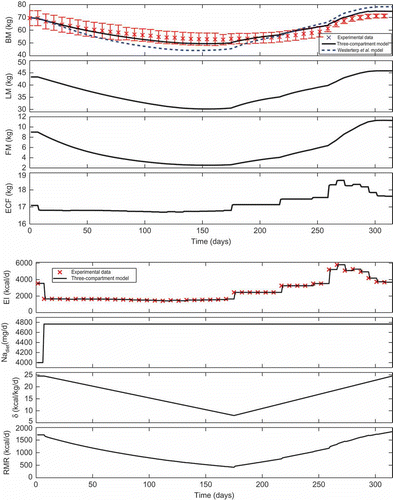 Figure 3. Body mass BM and compartments (lean mass (LM), fat mass (FM) and extracellular fluid (ECF)) obtained from the three-compartment model for the Minnesota semi-starvation experiment [Citation19]. Body mass is compared to experimental data (☆, with error bars) and the total body mass from the Westerterp et al. [Citation10] two-compartment model (dashed line).