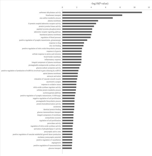 Figure 4 GO analysis of putative targets by DAVID6.8. The Y-axis shows significantly enriched Biological Process categories that the targets participate in, and the X-axis shows the enrichment scores (-log10 (P value)) of these terms (P<0.05).