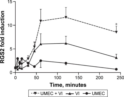 Figure 7 β2R-agonist-induced RGS2 expression is enhanced by MR antagonism.