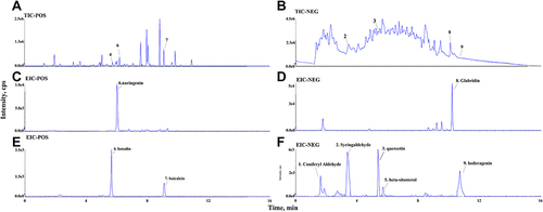 Figure 4 Identification of active ingredients of Wendan Decoction. (A) Total ion chromatography (TIC) on positive of Wendan Decoction. (B) TIC on negative of Wendan Decoction. (C-F) Extraction ion chromatography of Wendan Decoction. (C) Identification of naringenin. (D) Identification of glabridin. (E) Identification of luteolin and baicalein. (F) Identification of coniferyl aldehyde, syringaldehyde, quercetin, beta-sitosterol and hederagenin.