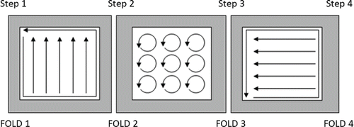 Figure 1. Wiping pattern within a 10 cm by 10 cm template.