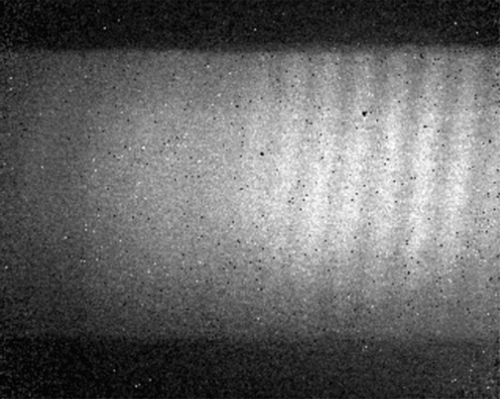 Fig. 5 Raw image of fringes observed following final assembly of the SWIFT-DASH monolithic optics. The observations were made at room temperature and in air with a FLIR SC7300 L IR camera (320 pixels × 256 pixels).