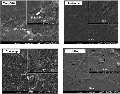 Figure 5. SEM Images of the fracture surface of the representative specimen after BFS testing at 2 weeks.