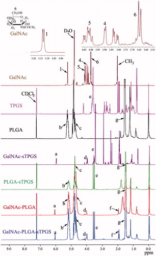 Figure 1. 1H-NMR spectra of GalNAc-PLGA-sTPGS, GalNAc-PLGA, PLGA-sTPGS, GalNAc-sTPGS, PLGA and TPGS copolymer and α-d-N-acetylaminogalactose (GalNAc).