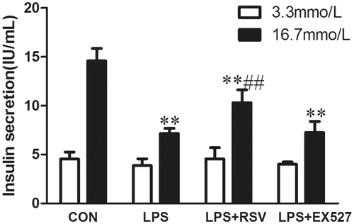 Figure 6. Activation of SIRT1 inhibited LPS induced INS-1 cells insulin secretion. Incubated INS-1 cells with 1 mg/L LPS for 24 h induced a significant decrease in GSIS. Pretreated INS-1 cells with 10 μmol/L RSV reversed insulin secretion reduction induced by LPS. White column represents BIS induced by 3.3 mmol/L glucose. Black column represents GSIS induced by 16.7 mmol/L glucose. Values are means ± SD of more than three individual experiments. * p < .05, ** p < .01 vs. control, # p < .05 vs. LPS group.