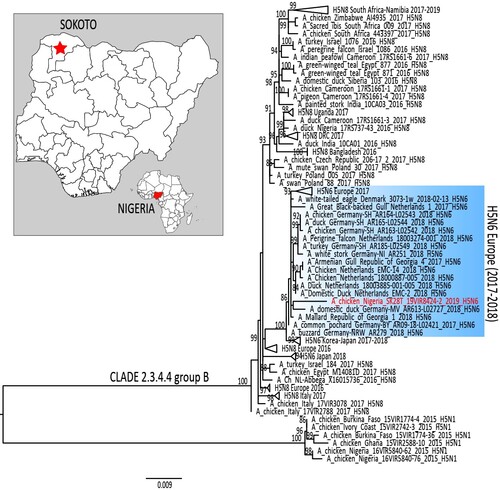 Figure 1. Maximum likelihood phylogenetic tree of the HA gene segment of A/duck/Nigeria/SK28T_19VIR8424-2/2019. H5N6 virus from Nigeria is marked in red. Blue rectangular highlights the European H5N6 cluster. The map shows the Nigerian state (red star), where the H5N6 was identified.