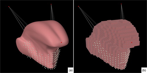 Figure 1. (a) The surface mesh of the model. (b) The cubic-shaped FE model. The white dots are the non-dynamic nodes representing the attachment to the jaw.