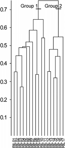 Fig. 4 Dendrogram of phytosociological surveys (average link, similarity ratio). Fig. 4. Dendrogramme des relevés phytosociologiques (lien moyen, similitude ratio).