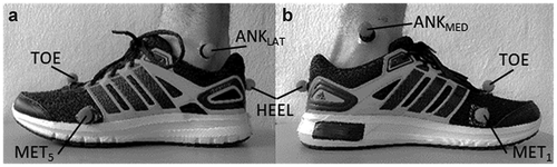 Figure 1. The marker placements on the left foot can be seen from a lateral (a) and medial (b) views.