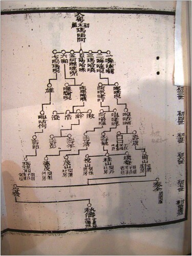 Figure 3: A genealogical pedigree chart in the 1619 Nanhai Ganjiao Pu shi jiapu 南海甘蕉蒲氏家譜 (Genealogy of the Pu Family of Ganjiao, Nanhai). Photo by the author.