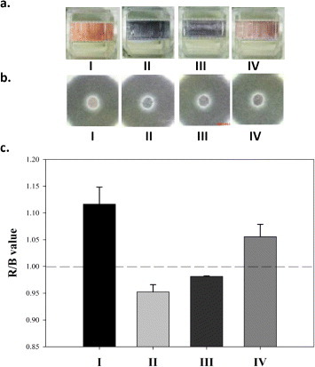 Figure 3. The colorimetric results of TB diagnosis (a) in cuvettes, (b) on paper and (c) the analytical values of red/blue of the spots. The four different solutions are (I) unmodified AuNPs colloid, (II) AuNPs colloid with 25 mM salt, (III) in the presence and (IV) absence of 2.6 nM IS6110 target sequences hybridized with detection ssDNA sequences in AuNPs colloid and then adding 25 mM salt. The colors in the cuvette are (I) red, (II) blue, (III) blue and (IV) red, and the mean R/B values of the spots on the paper are approximately 1.12, 0.96, 0.98 and 1.06, respectively (n = 3). The test conditions are identical to the UV–Vis extinction spectra test of figure 2 except the volume needed for UV–Vis was 1 ml and the spotting volume in paper was 200 μl.