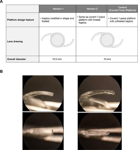 Figure 1 Design and characteristic features of the version 1 and version 2 test IOLs and the control IOL (A) and photographic comparison of frosted (left) and unfrosted (right) haptics at high magnification (B).