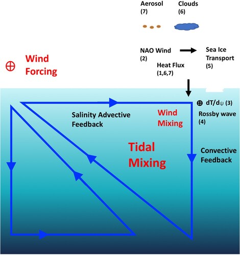 Fig. 3 Schematic of the existing THC theories and AMO theories. Numbers in parentheses denote that the process is involved in corresponding AMO theories: (1) stochastic forcing theory, (2) NAO coupled oscillator, (3) zonal-meridional oscillator, (4) delayed advective oscillator, (5) ice coupled oscillator, (6) cloud-radiation feedback theory, and (7) aerosol forcing theory.