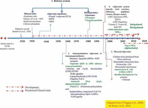 Figure 2. The repertoire of adjuvants compounds, categories, and development since 1920. A released system developed to target the vaccine subunits to the sites of the induction of the innate immune response (AS03, AS04, liposomes virosomes, viral-like particles). TLR agonist, immunostimulants (CpGODN, ISCOMS; Poly (I: C), MPL Flagellin; QS21, Imiquimod, Resiquimod). Of relevance is the availability and the potential of molecular mucosal adjuvants, -recombinant bacterial toxin, type I IFNs-that deserve further exploration and deep evaluation in phase I through phase III against intracellular pathogens