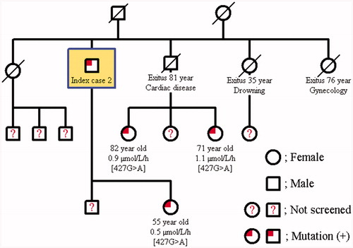 Figure 3. Pedigree family chart of Case 2.