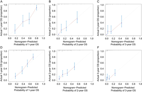 Figure 4 Calibration curve showing good fit between the predicted nomogram curve and the observed curve at 1-, 2- and 3-year survival time (A–F). (A–C) represents the training cohort and (D–F) represents the validation group.