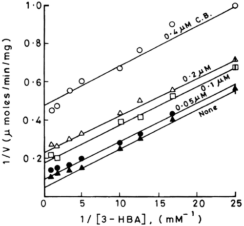 Figure 2 Double reciprocal plots for demonstrating the nature of inhibition of 3-HBA-6-hydroxylase activity by cibacron blue with respect to 3-HBA.