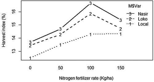 Figure 11. The effect of NPSB blended fertilizer on harvest index (%) of inoculated common bean varieties.