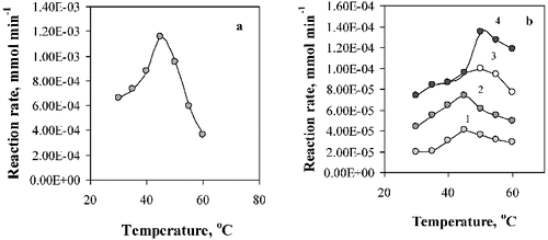 Figure 7. Effect of the temperature on the activity of the free (a), and immobilised lipase (b). Enzyme supports: (1) Ca-alginate/PVA; (2) chitosan; (3) Ca-alginate; (4) chitosan-coated Ca-alginate beads.