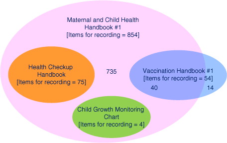 Fig. 3 Overlapping items for recording between four major home-based records.