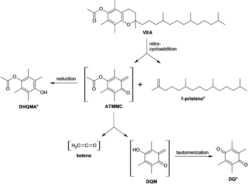 Figure 1. Putative reaction scheme showing VEA degradation reactions that may occur under vaping conditions. The “x” symbol indicates a compound that was tentatively identified by GC × GC-TOFMS analysis of samples generated using the Joyetech eVic device. Brackets denote a reactive intermediate for which the presence was inferred although no direct evidence for the compound was observed.