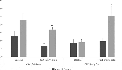 Figure 3. Sex differences in Caveolin-1 (CAV1) gene expression in fat tissue and buffy coat of patients with impaired glucose regulation (IGR) at baseline and after a lifestyle change (6 months post-intervention). Results were calculated by Paired T-test and are shown as average ± SE. * p ≤ 0.025, ** p ≤ 0.01