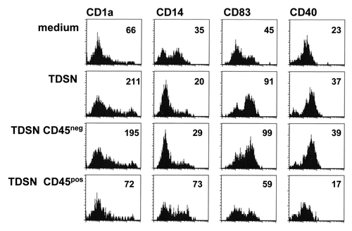 Figure 5. Soluble colon tumor factor-induced maturation of DC migrated from skin is mediated by the CD45-negative cell fraction. The CD45+ immune infiltrate was depleted from colon tumor single-cell suspensions by panning and 24 h supernatants were generated from both the CD45- and the CD45+ fractions. Unseparated and separated tumor-derived supernatants (TDSN) were i.d. injected at 50% v/v prior to explant culture, while 3% v/v was added to the culture media of the explant cultures. Skin explants were removed at day 2 of culture. Two-day migrated DC were harvested and analyzed by flow cytometry for the indicated markers. Mean Fluorescence Intensities (MFI) are listed. TDSN from 2 primary colon tumors were similarly generated with equivalent results.