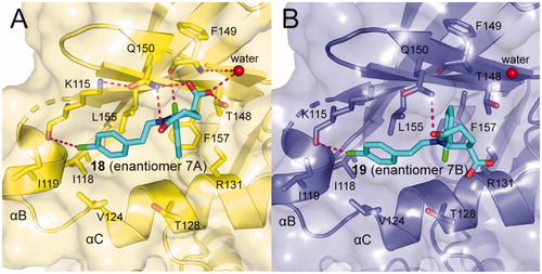 Figure 14. (A) Cartoon/surface representations of the interaction between 18 with the PIF-pocket of PDK1 (pale yellow; PDB ID: 5ACK). (B) Cartoon/surface representations of the interaction between 19 with the PIF-pocket of PDK1 (slate; PDB ID: 5ACK).
