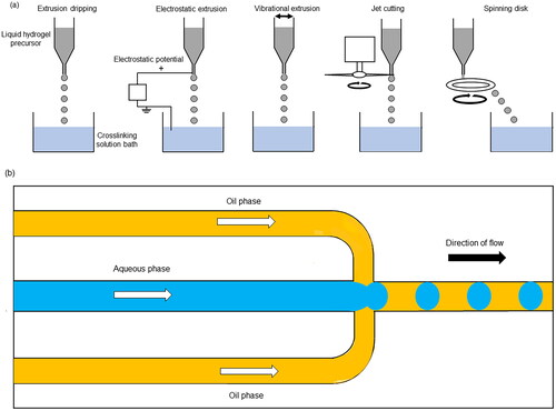 Figure 1. (a) Methods of producing droplets by extrusion dripping. (b) Microfluidic flow focusing device for droplet generation. This figure was drawn by the authors.